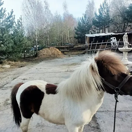 Apollo