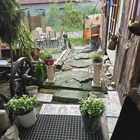 Apartamento Apollo *