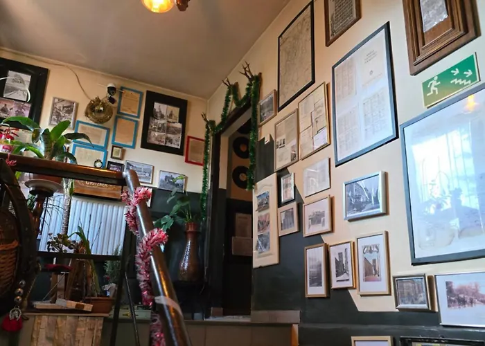 Apollo Zabkowice Slaskie