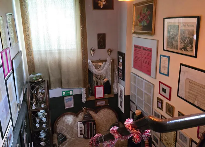 Apollo Zabkowice Slaskie