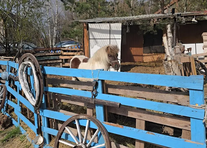 Apollo Apartamento Zabkowice Slaskie